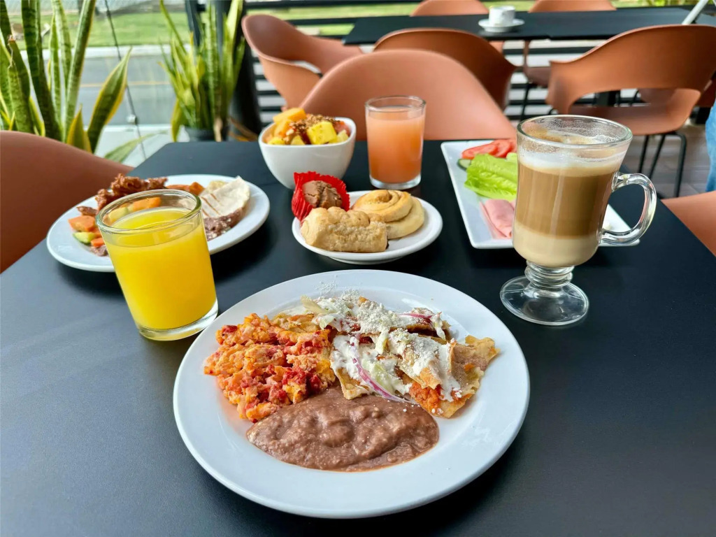Ibis Merida