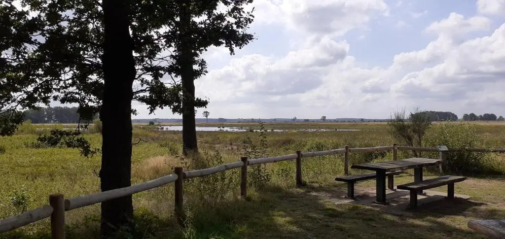 Drentse bungalow in natuur en rust