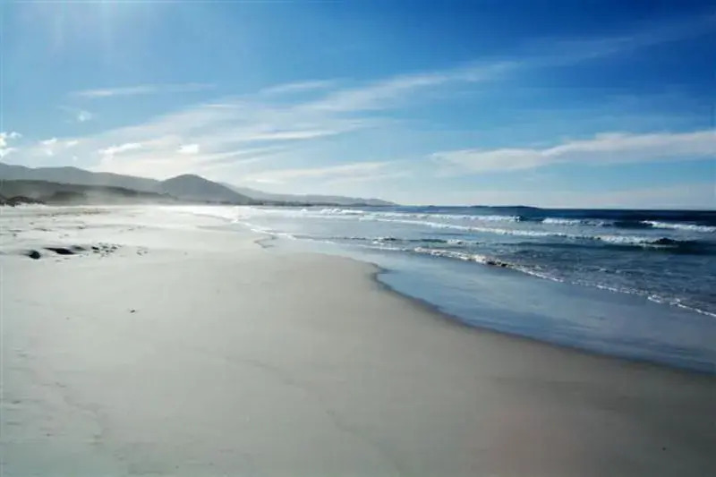 Sandpiper Ocean Cottages