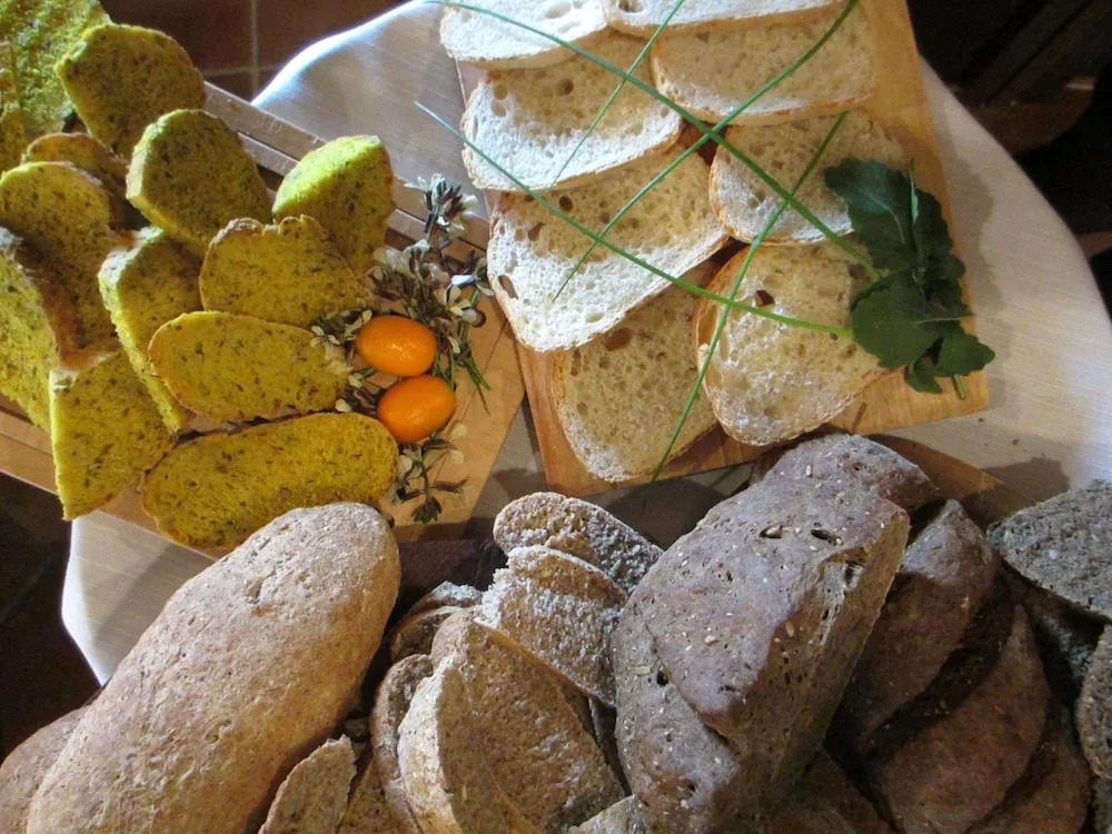 Agriturismo Il Felciaione