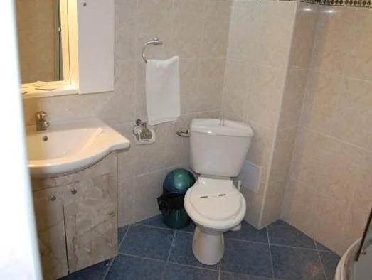 Hotel Olguta
