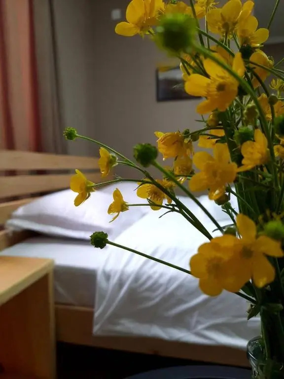 guesthouse nakani