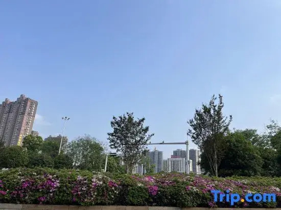 Yipin International Hotel (County Government Affairs Center)