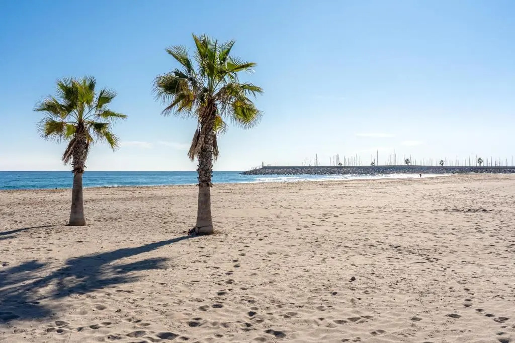 Hauzify I Apartament Torremar