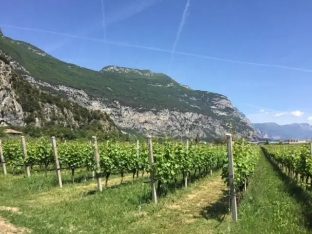 Appartamenti Maso Giare