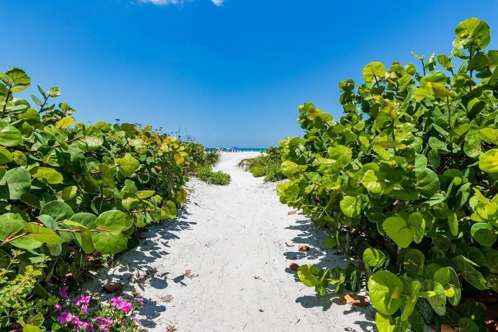 Siesta Bayside Condo