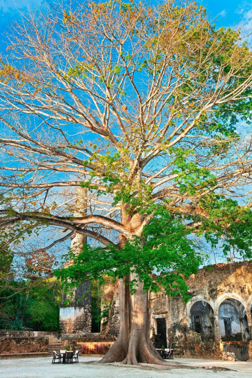Hacienda Uayamon
