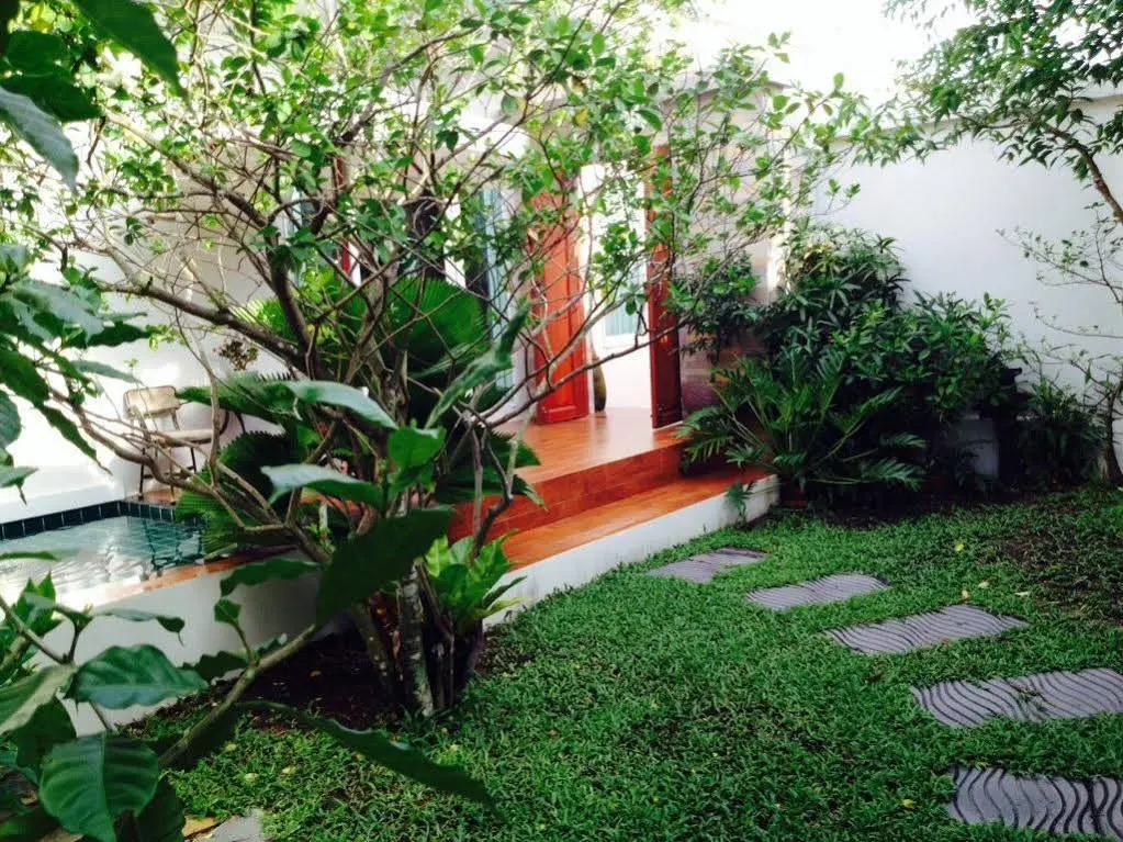 Baan Bor Bai Mai