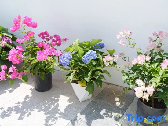 Zhujiajianhai can·First-line sea view starry sky pool holiday villa (Xiaowushitang Branch)
