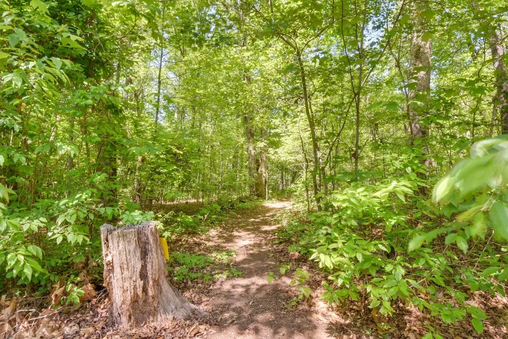 Woodsy Hayesville Home on Jackrabbit Trail!