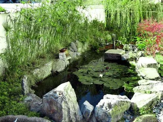 Xinyu Homestay