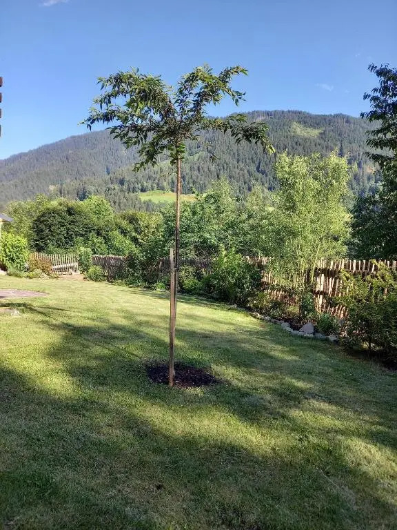 Aparthaus am Walde & Appartement Sonnenseite