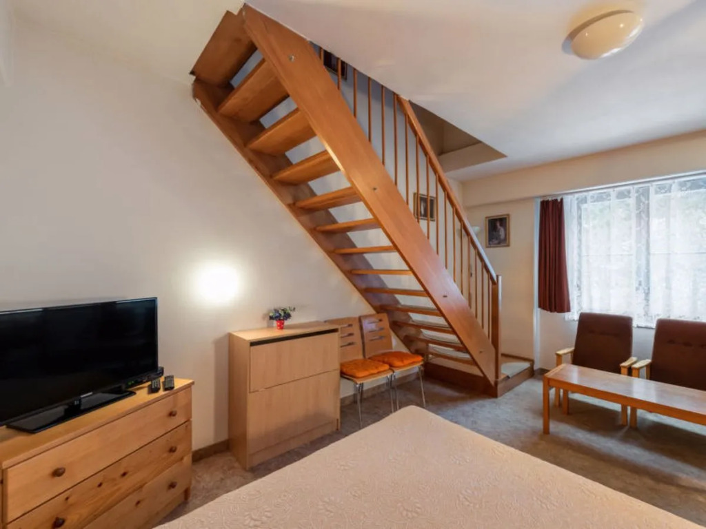 Apartment Lanovka Jachymov 40181