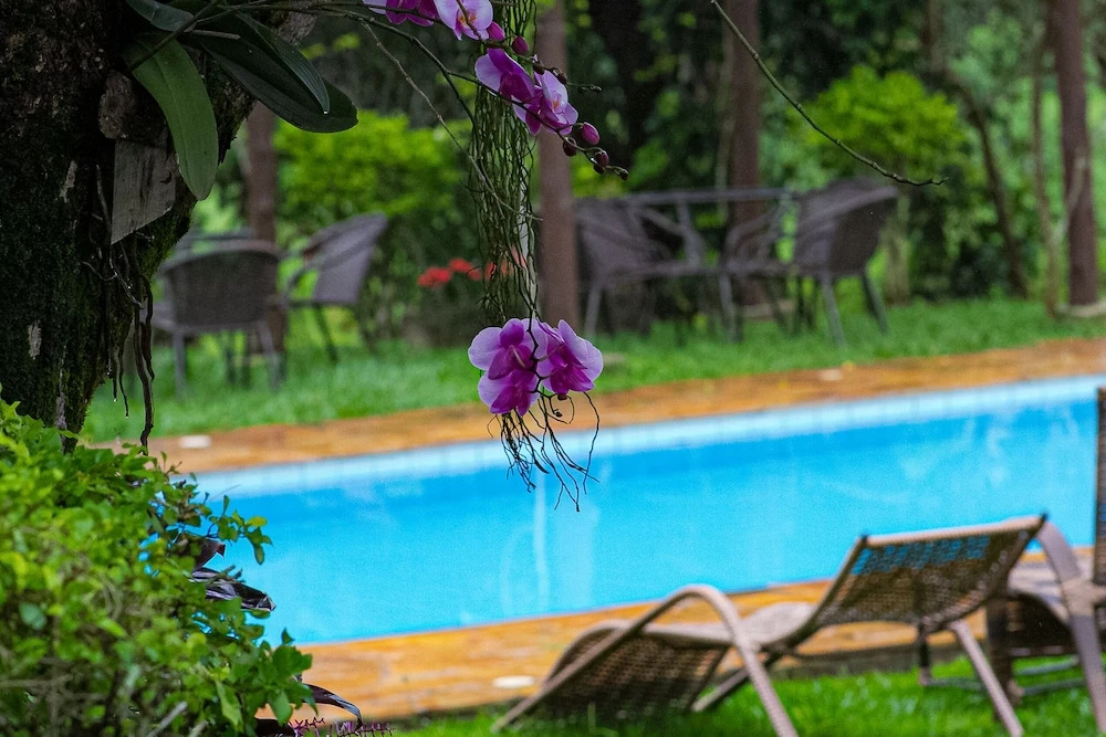 Hotel Fazenda Polyanna