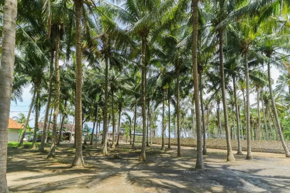 Coconut Hill Cottages