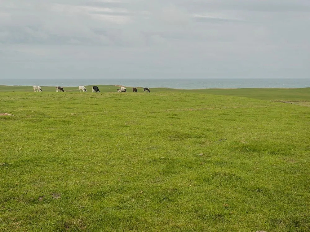 Corsewall Castle Farm Lodges