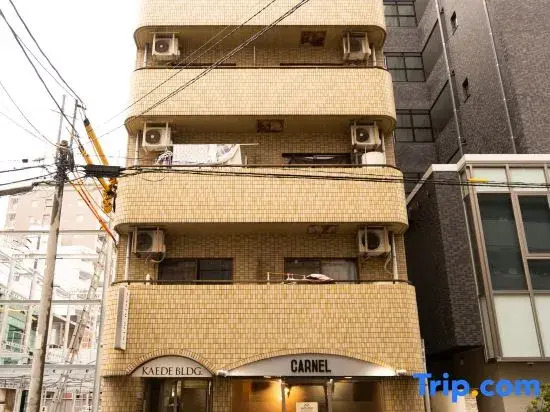 N262 Elegant Penthouse｜Near Kamimaezu & Osu