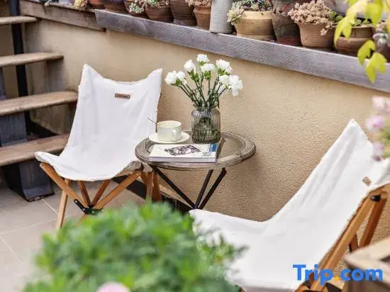 Lu Xiaoxiao's Courtyard Homestay