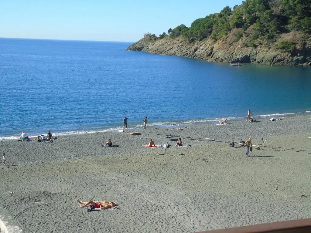 Cà Gialla