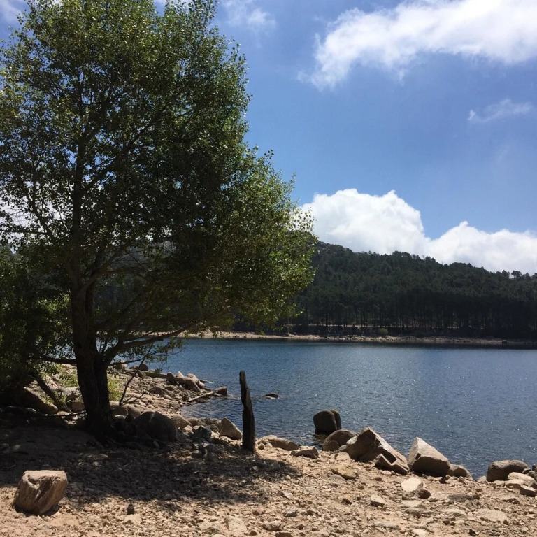Apartment With one Bedroom in Porto-vecchio, With Furnished Terrace and Wifi - 10 km From the Beach