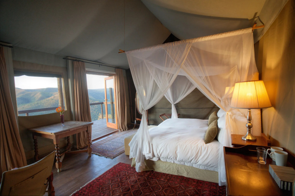 Camp Figtree by The Oyster Collection