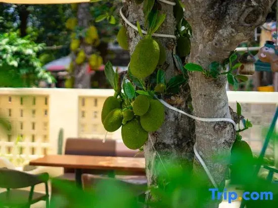 Weizhoudao Yishiguang Homestay