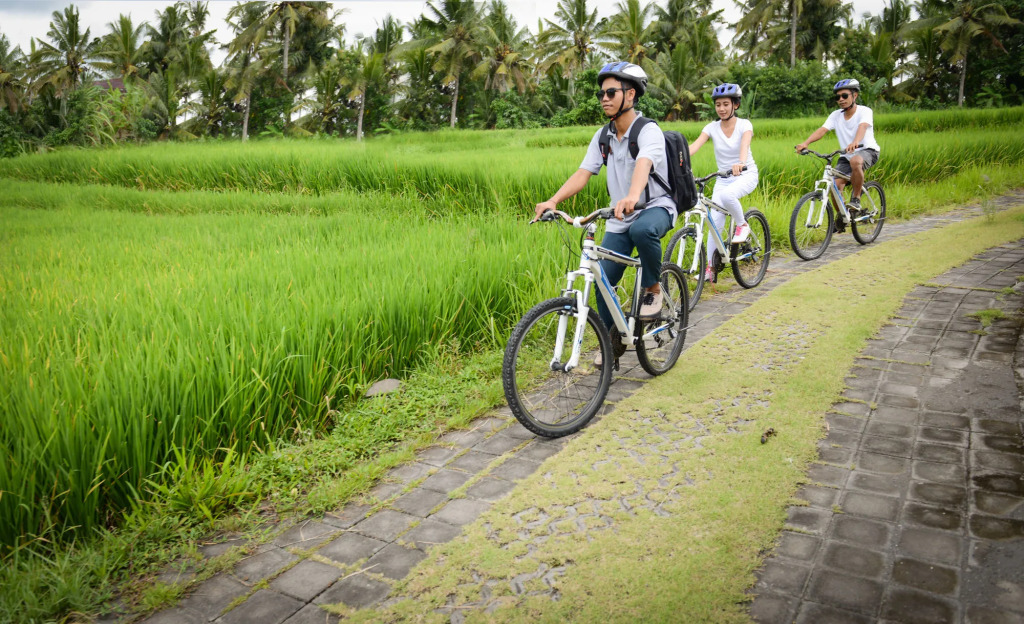 Purana Boutique Resort