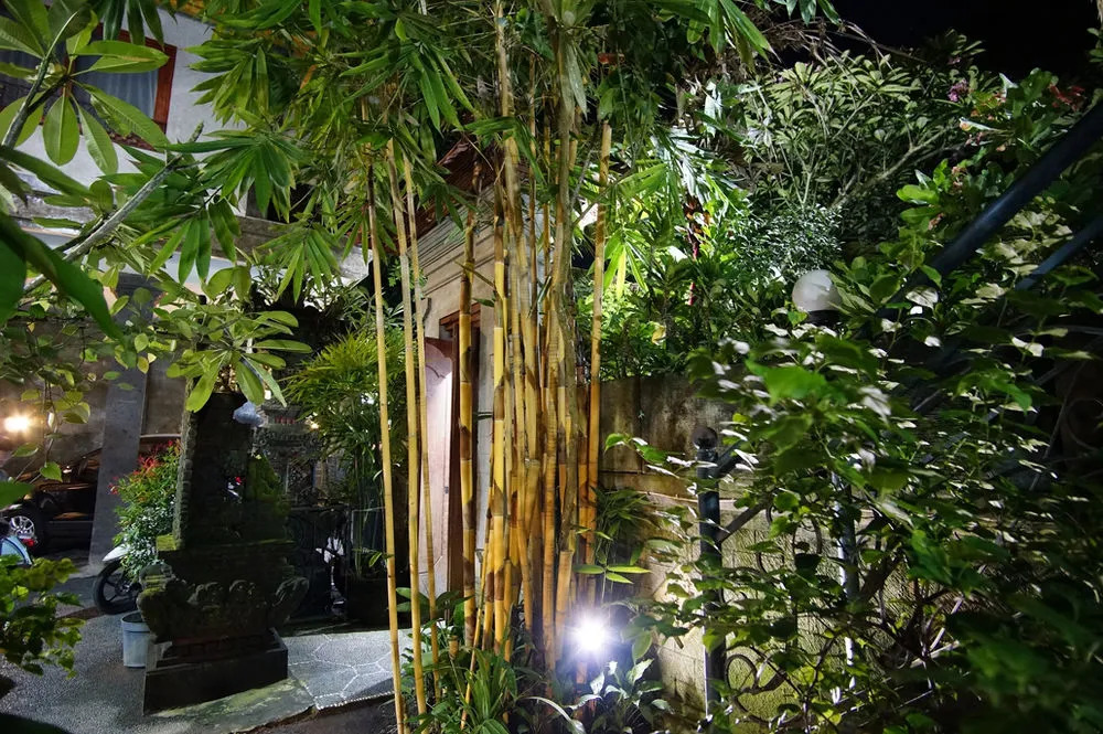 Ubud Dream Homestay