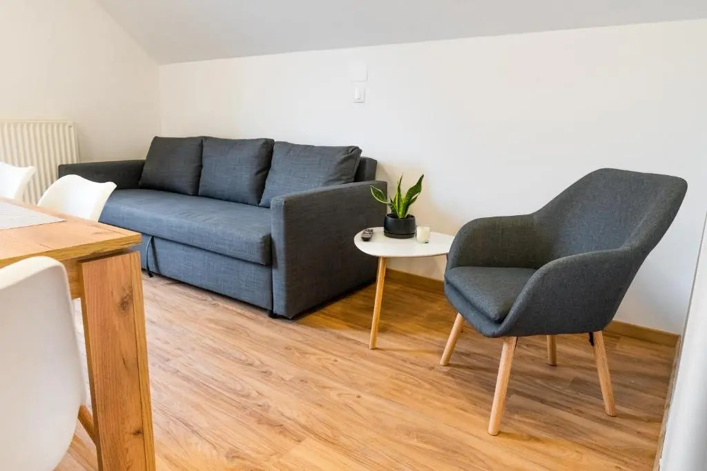 Apartments Skok with rafting and free parking