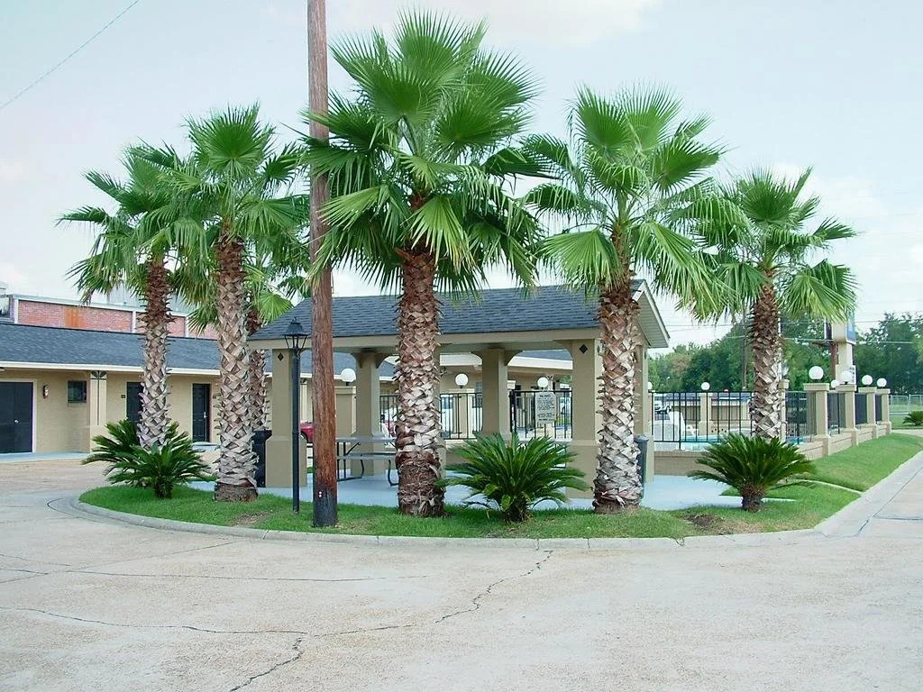 Budget Inn