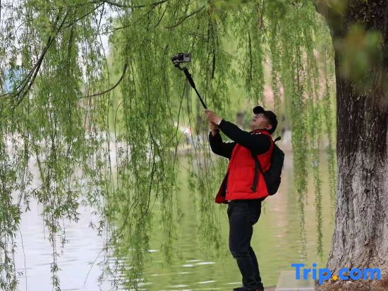 Jiuxing Hotel