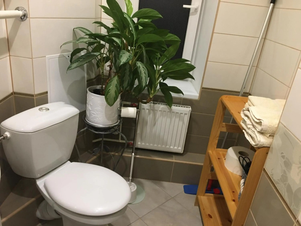 K.G. Apartment