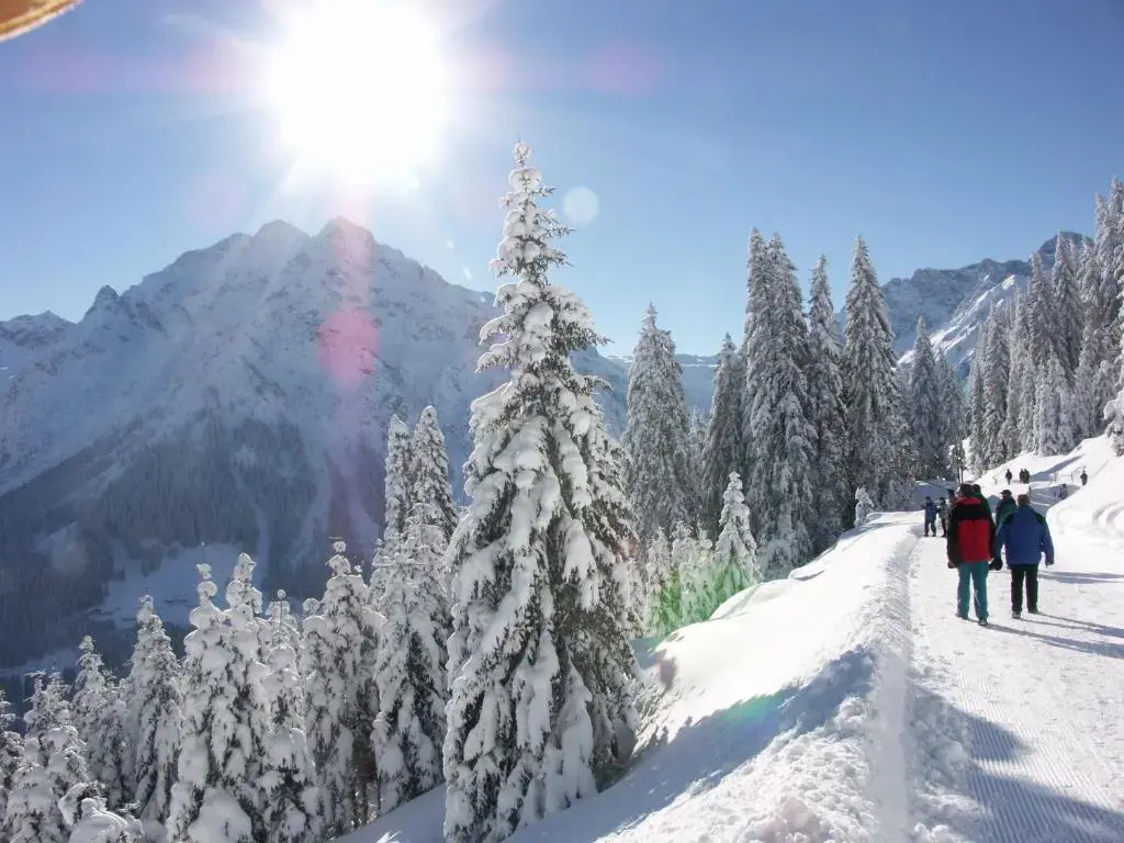 Alp-Chalet