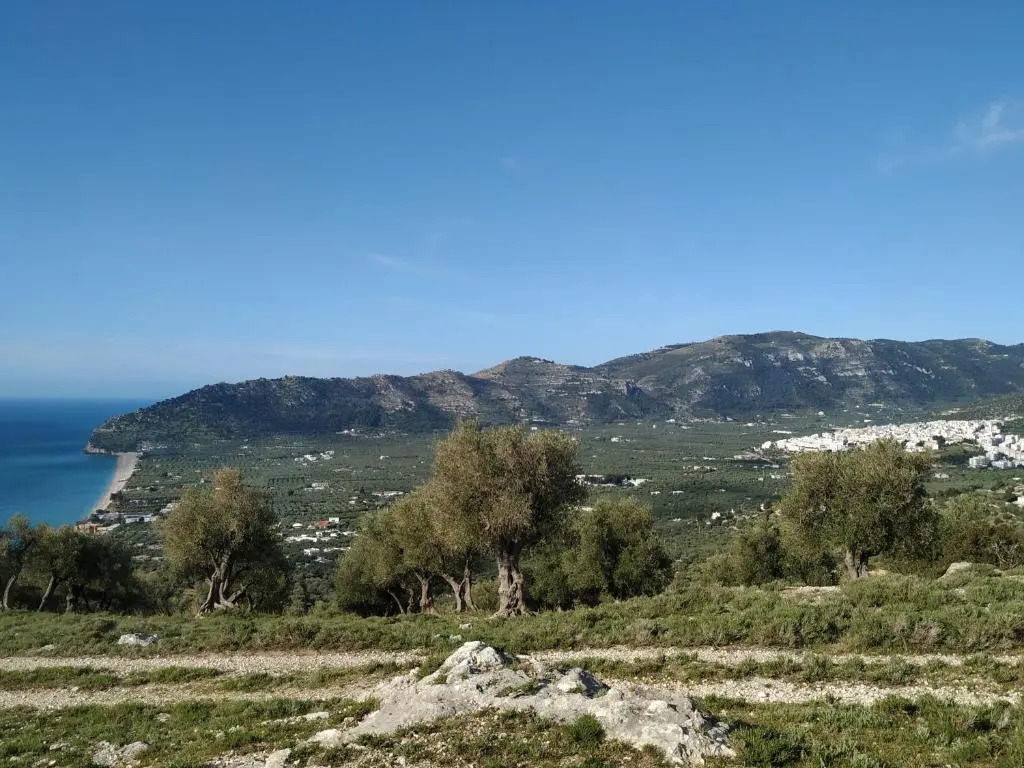 Residence TerraBella