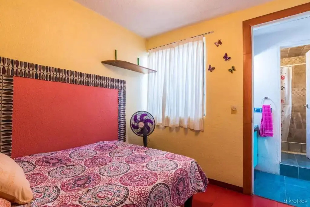 Nice full apartment, downtown on foot