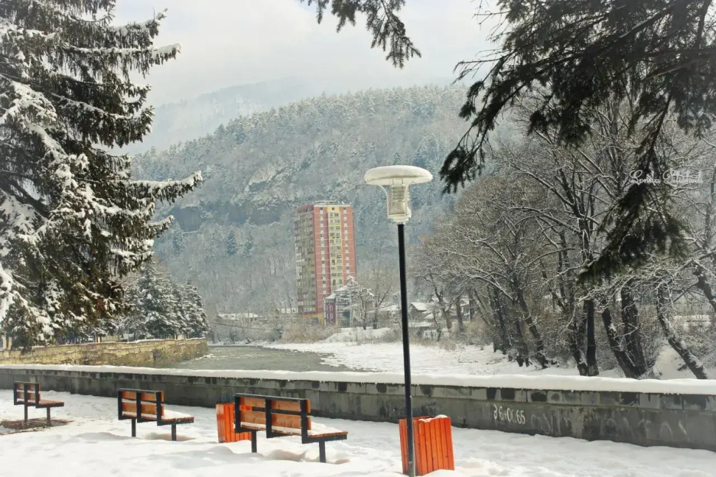 Borjomi Guest House
