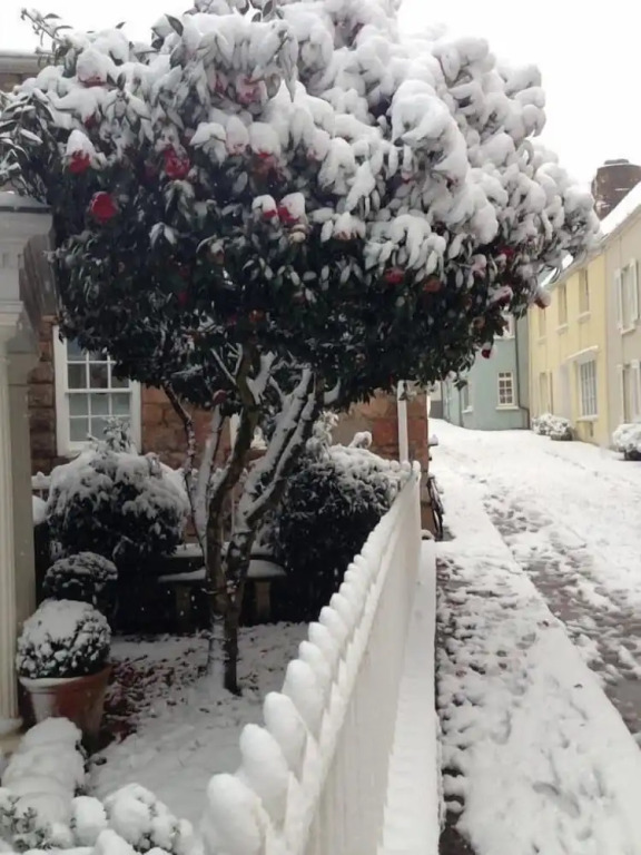 Fabulous Apt Historic House St Aubin