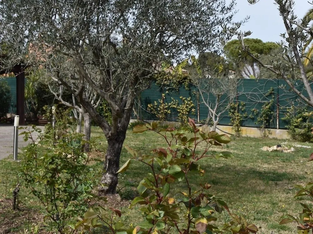 Villa de Paradis jardin piscine