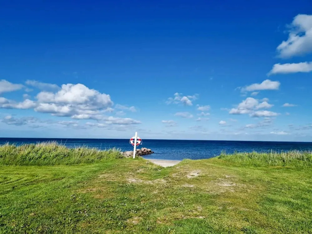 4 Star Holiday Home in Saeby