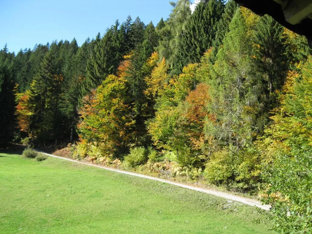 Alpenhof Strenge