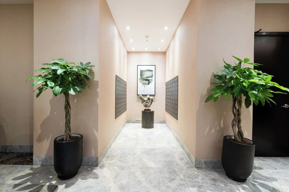 3BR APT D1Mension