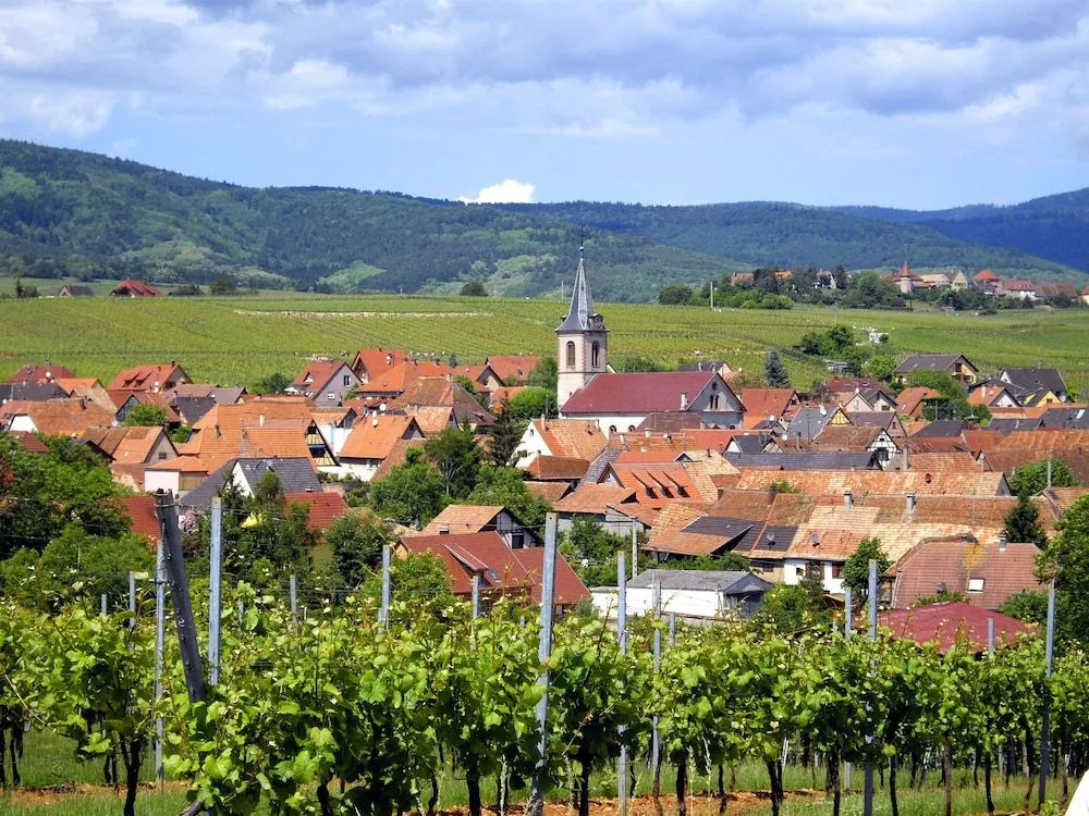 B&B Le Clos des Raisins