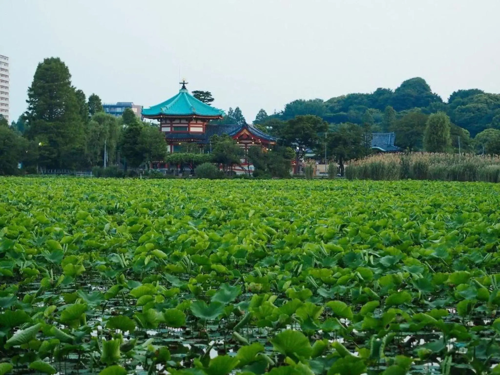 Tora Hotel Taito - Vacation STAY 53053v