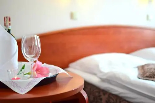 Hotel Panorama Nowy Sącz