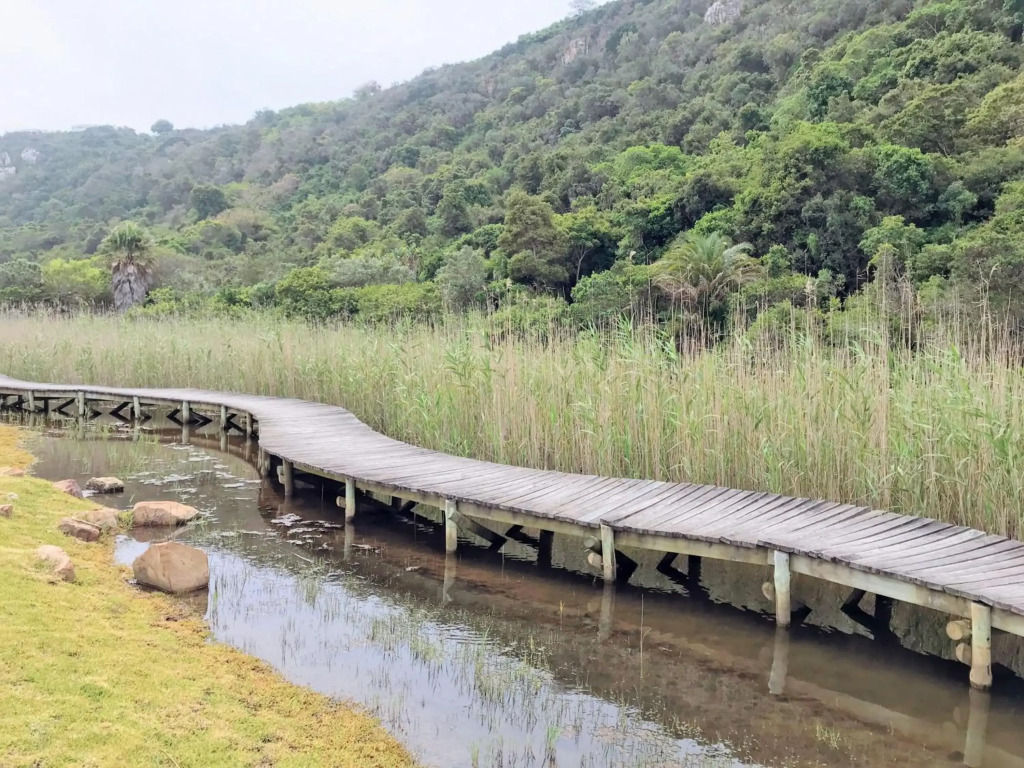 The River Club Loft - 6 sleeper, Swimming Pool, 2 min to Robberg Beach