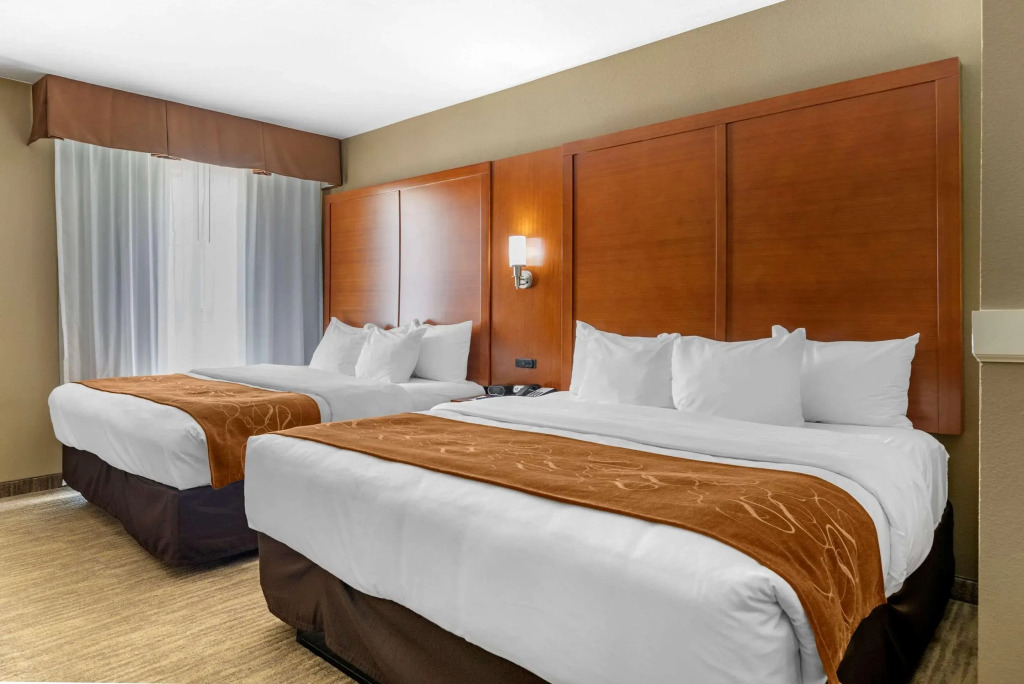 Comfort Suites - University