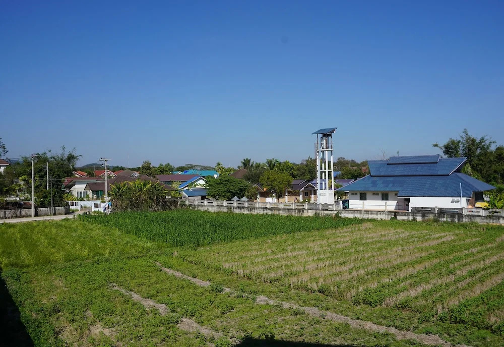 The Green Field