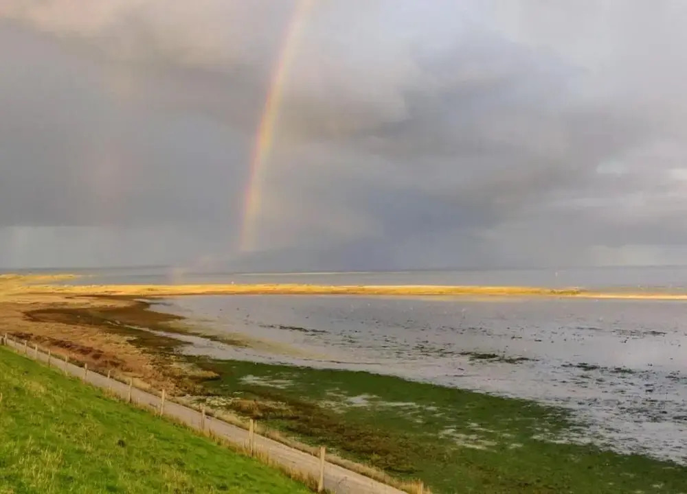 Traditional Villa With Dishwasher on Texel Near the Sea
