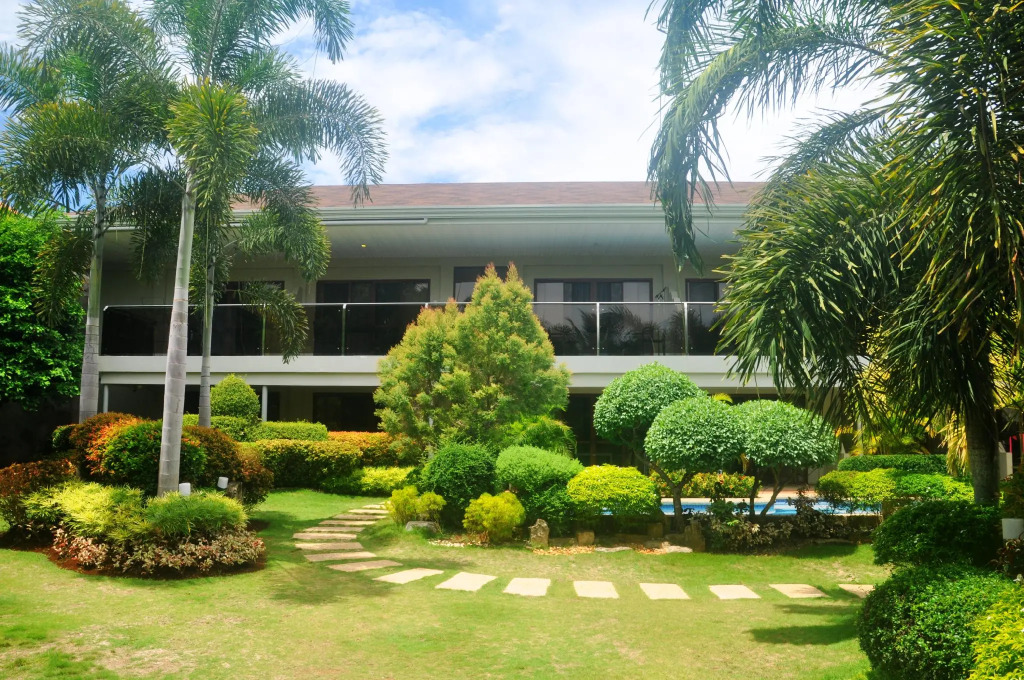 Alona Golden Palm
