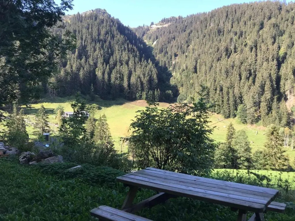 Chalet cosy sur pistes avec cheminée, terrasse et studio indépendant pour 14 pers. - FR-1-342-239